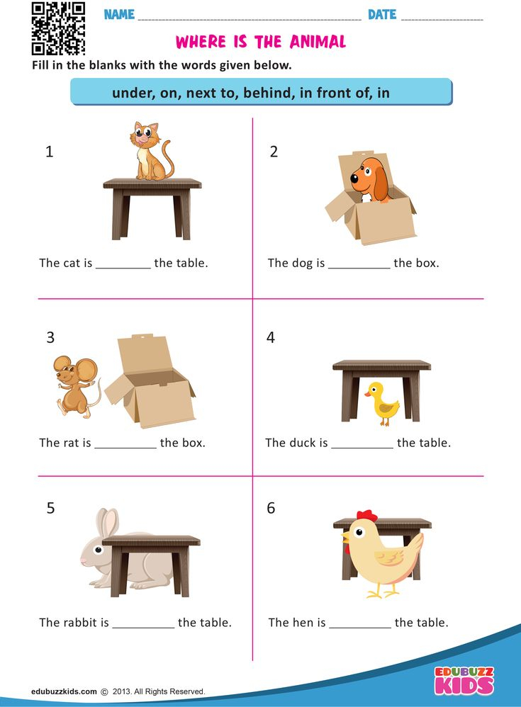 Where Is The Animal Preposition Worksheets Preposition