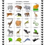 Zoo Animals Pictionary Worksheet Free ESL Printable