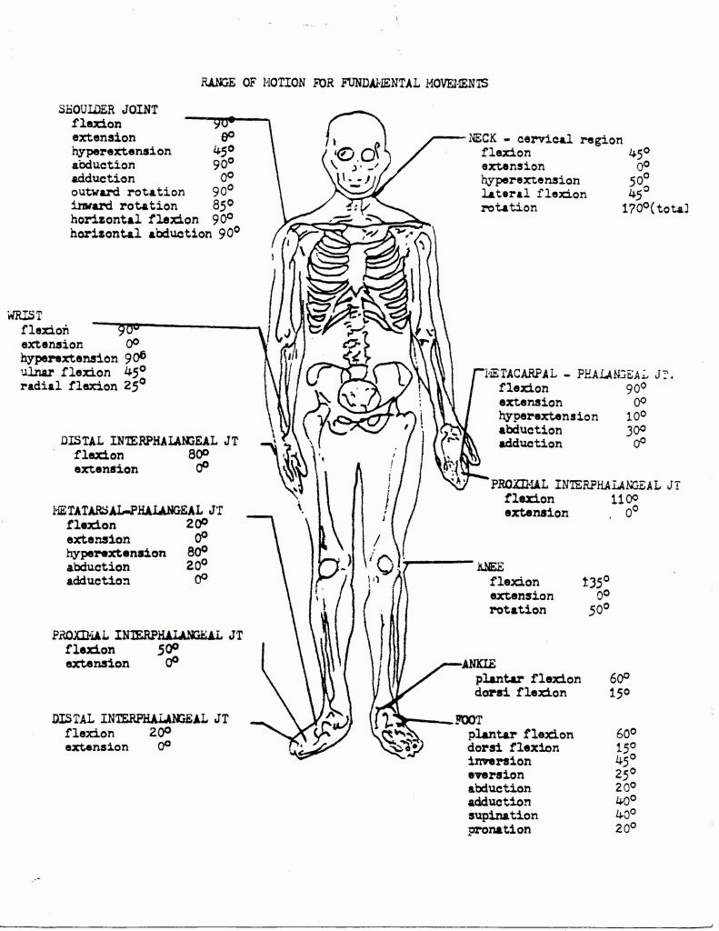 Anatomy And Physiology Coloring Workbook Answer Key Unique