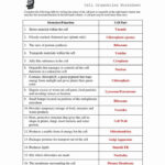 Animal Cell Worksheet Answers Beautiful Cell Structure And