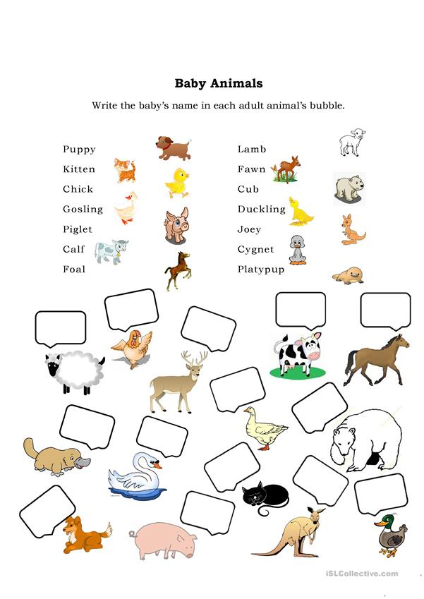 Baby Animals Worksheet Free ESL Printable Worksheets 