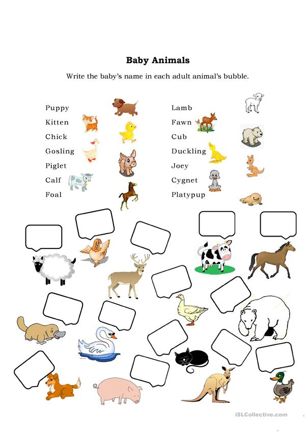 Baby Animals Worksheet Free ESL Printable Worksheets