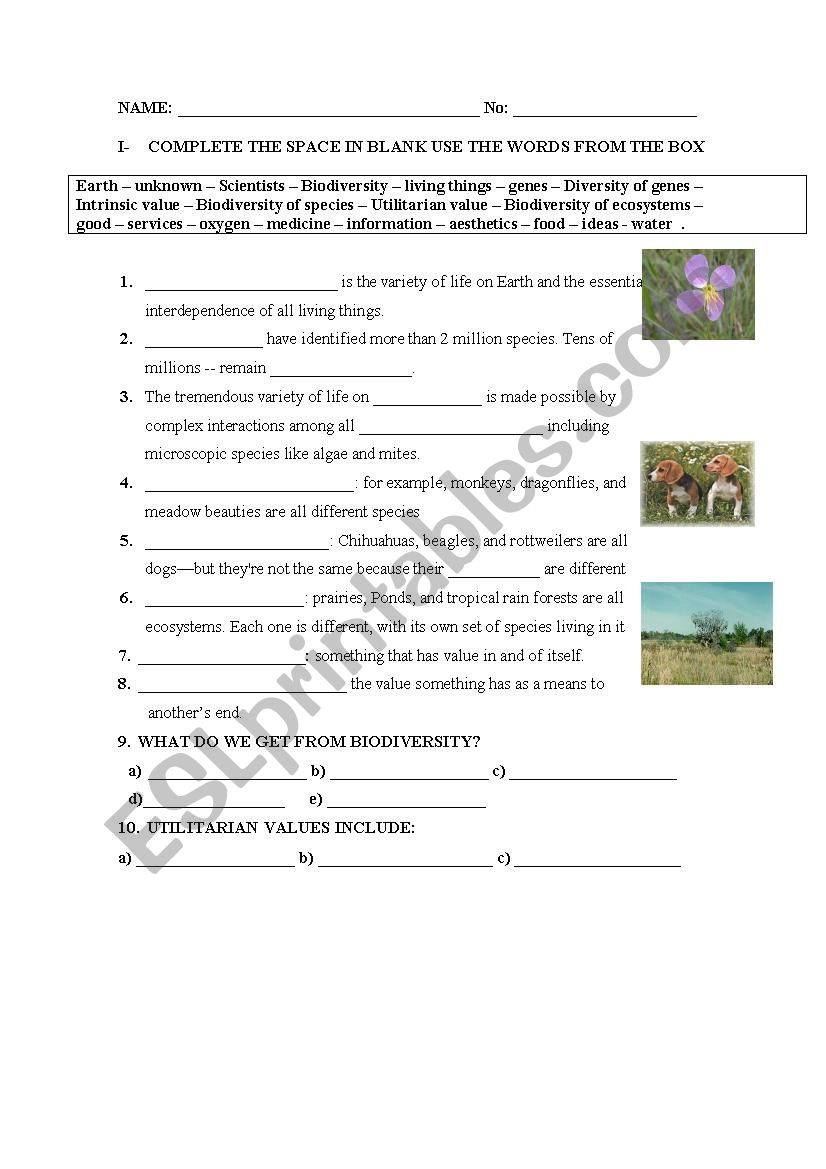 Biodiversity ESL Worksheet By Escaon