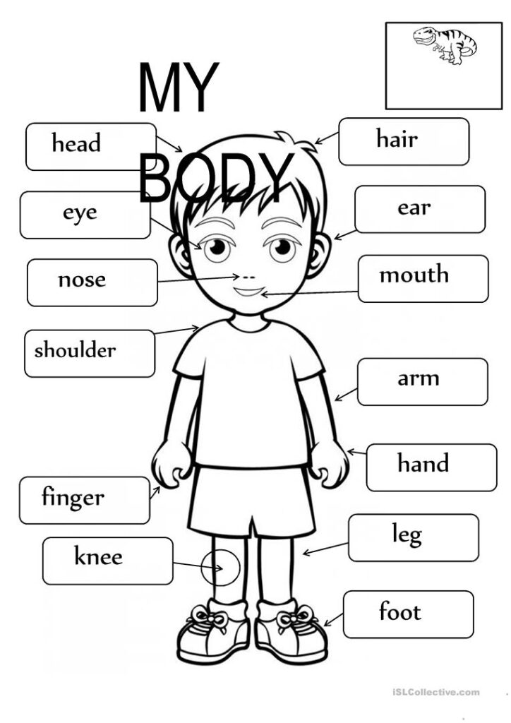 Body Parts Fill In The Blanks Worksheet Free ESL