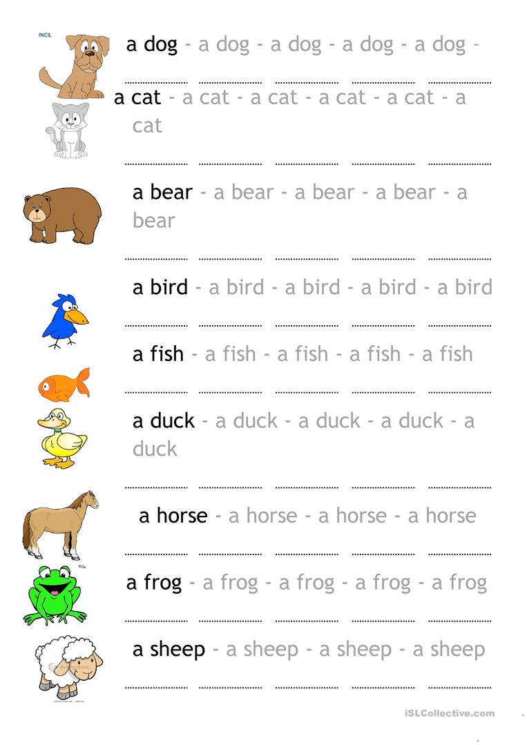 Brown Bear Brown Bear What Do You See English ESL 