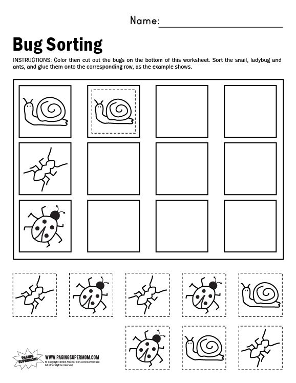 Bug Sorting Worksheet Kindergarten Worksheets Printable 
