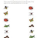 Bug Worksheets For Kids Cool Science And Nature