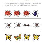 Bugs Worksheet Recognize Different Insects