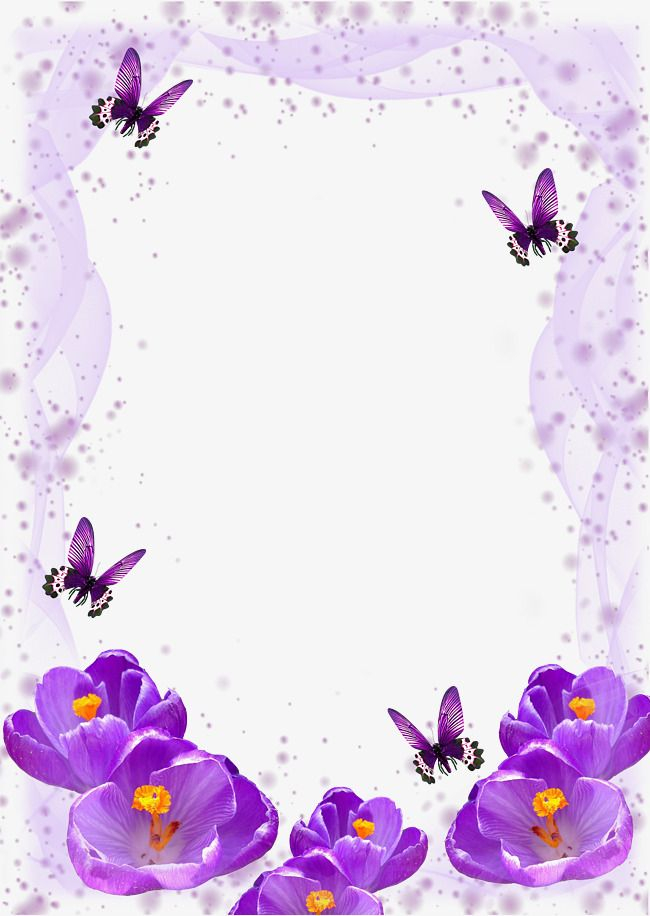 Butterfly purple purple Butterfly dream violet chiffon 