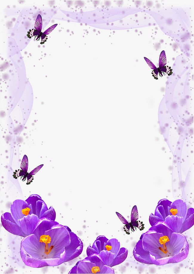 Butterfly purple purple Butterfly dream violet chiffon