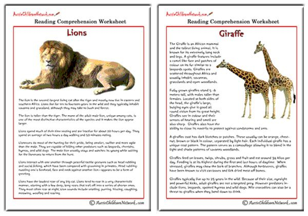 Comprehension Sheets On Animals Aussie Childcare Network