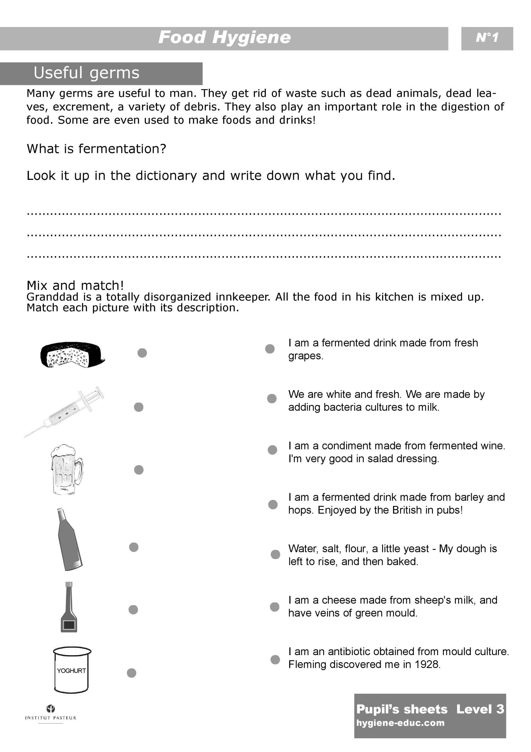Cooking Worksheets For Teenagers Printable Worksheets 