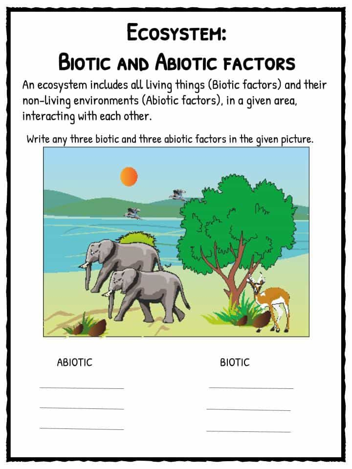 Ecosystem Worksheets Biotic Abiotic Lesson Resources
