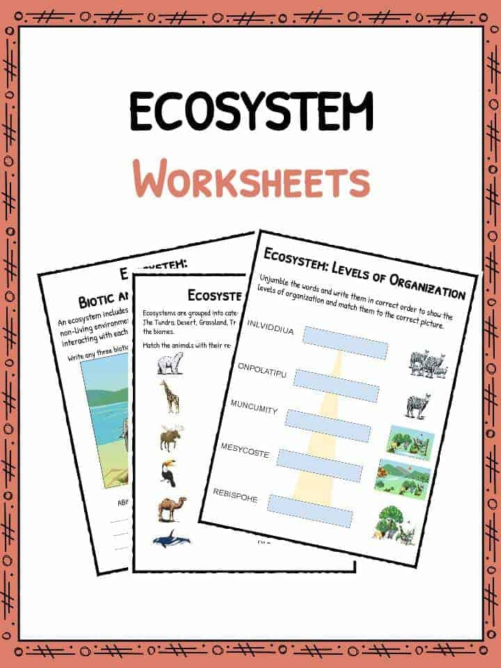 Ecosystem Worksheets Biotic Abiotic Lesson Resources