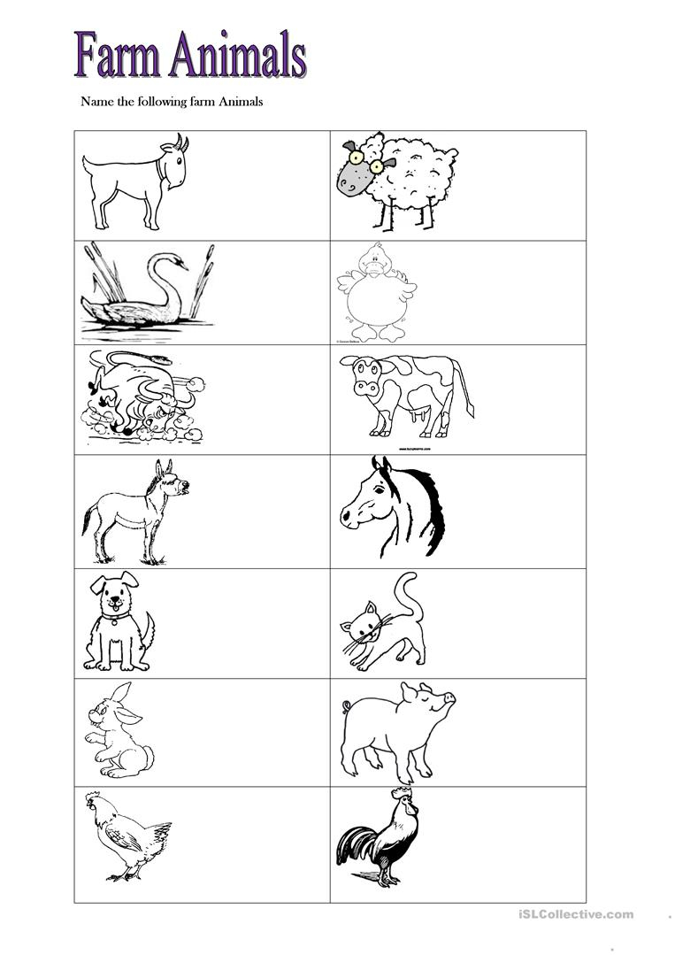 Farm Animals Worksheet Free ESL Printable Worksheets