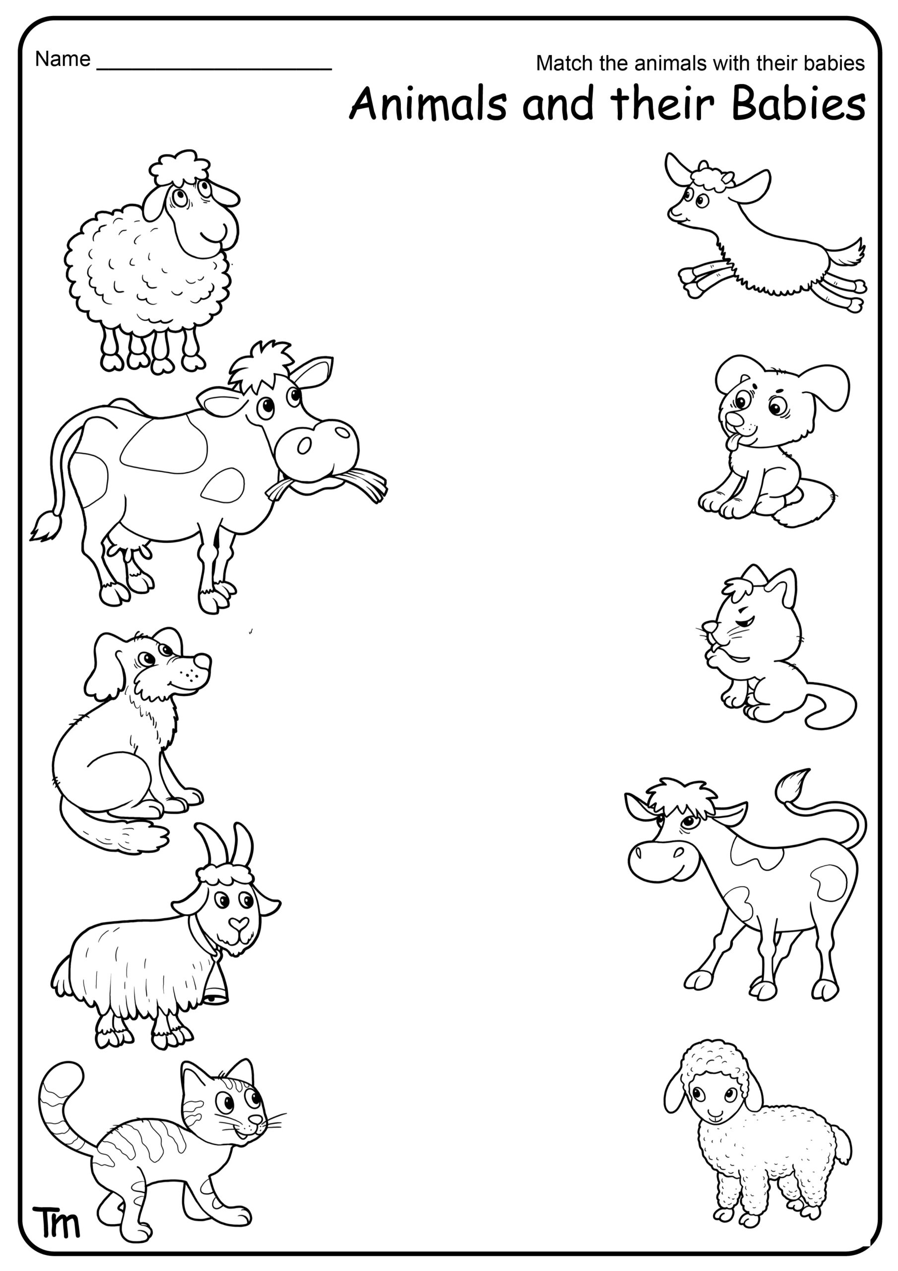 Farm Theme Preschool Farm Animals Sounds Lesson Plan 