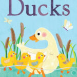 Five Little Ducks By Little Tiger Press Board Book
