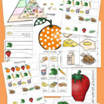 Food Groups Preschool Activity Pack Food Groups