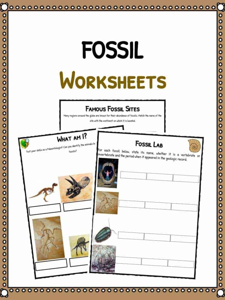 Fossil Facts Worksheets For Kids History And Famous Sites