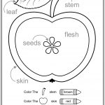 Free Printable Apple Worksheets Apples Where They E From