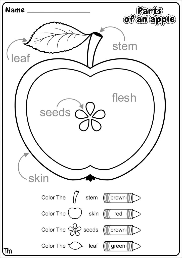 Free Printable Apple Worksheets Apples Where They E From