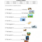 Going To The Zoo What Time Is It Worksheets 99Worksheets