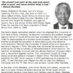 Grade 7 Reading Lesson 14 Biographies Nelson Mandela