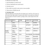 Grand Canyon A Reading Comprehension Worksheet Worksheet