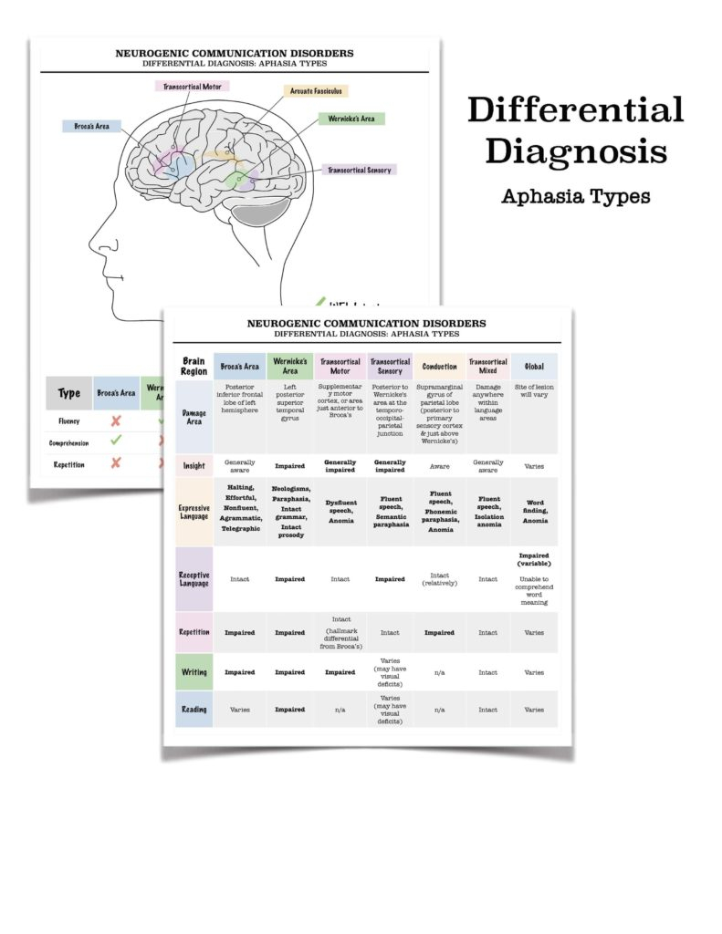 Handout Aphasia Differential Diagnosis Chart Medical SLPs