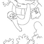 Hanging Sloth Coloring Pages Download Free Hanging Sloth