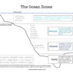 Homeschooling With A Classical Twist Ocean Zones Printable