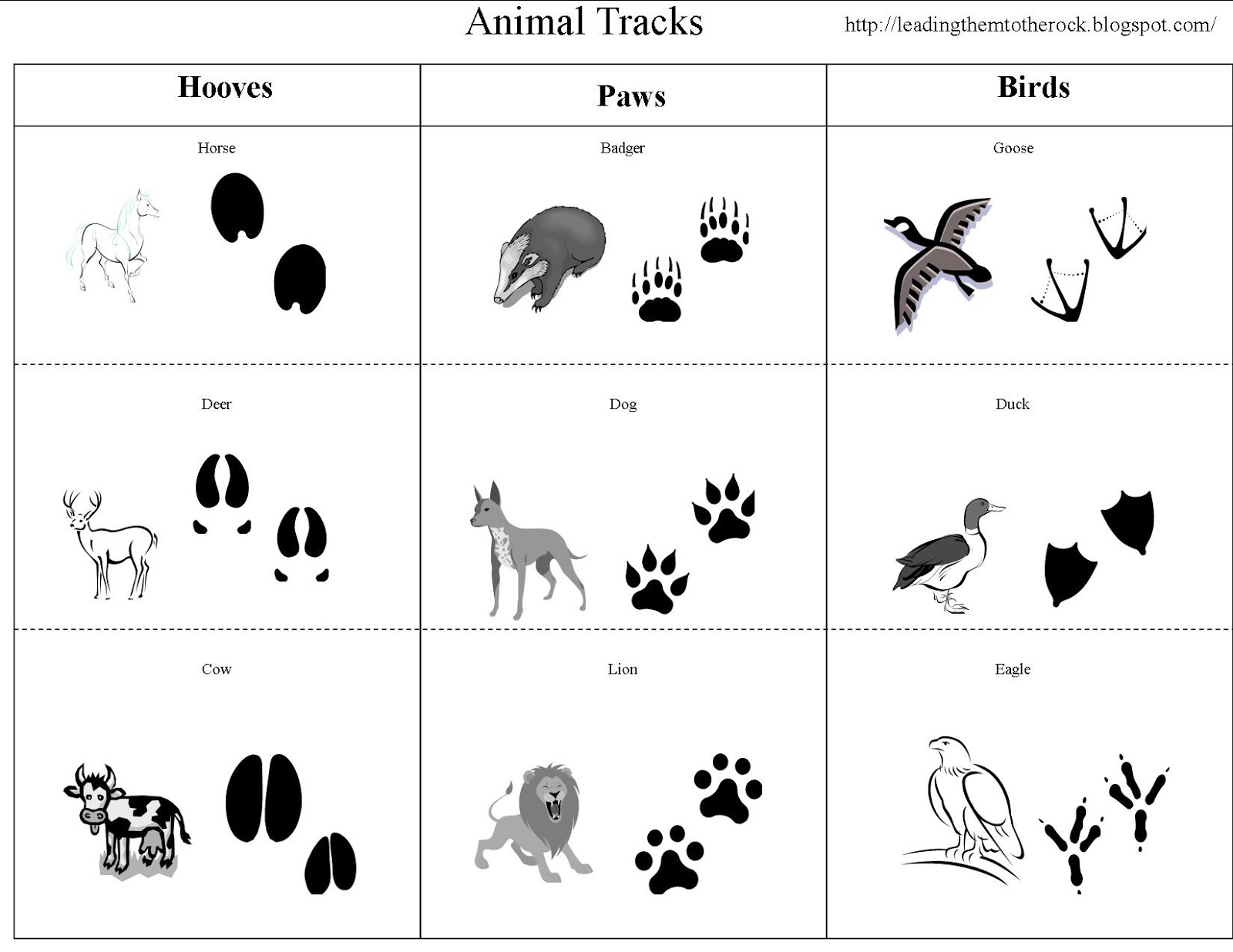 Leading Them To The Rock Animal Study Animal Tracks
