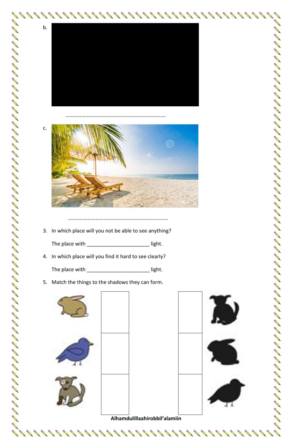 Light And Dark Interactive Worksheet
