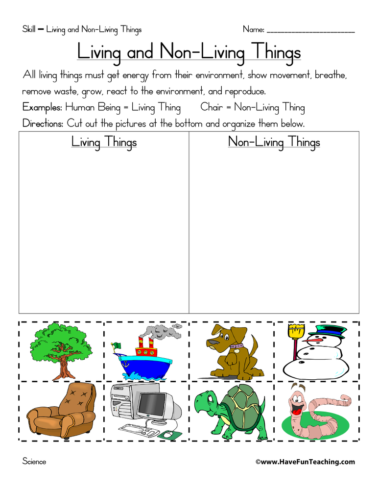 Living And Non Living Things Sort Worksheet Have Fun 