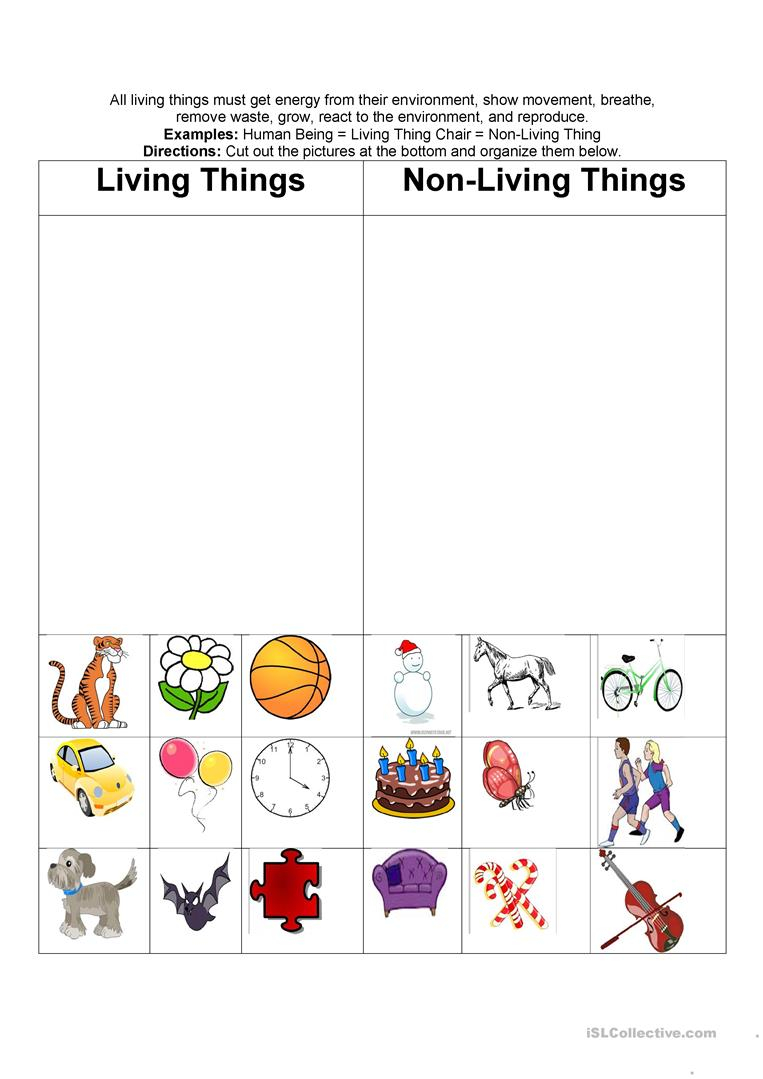 Living Nonliving Things Worksheet Free ESL Printable 