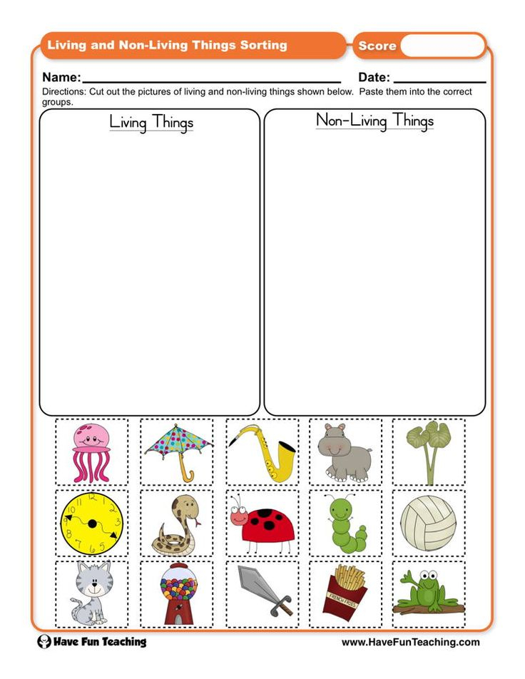 Living Things And Non Living Things Sorting Worksheet 
