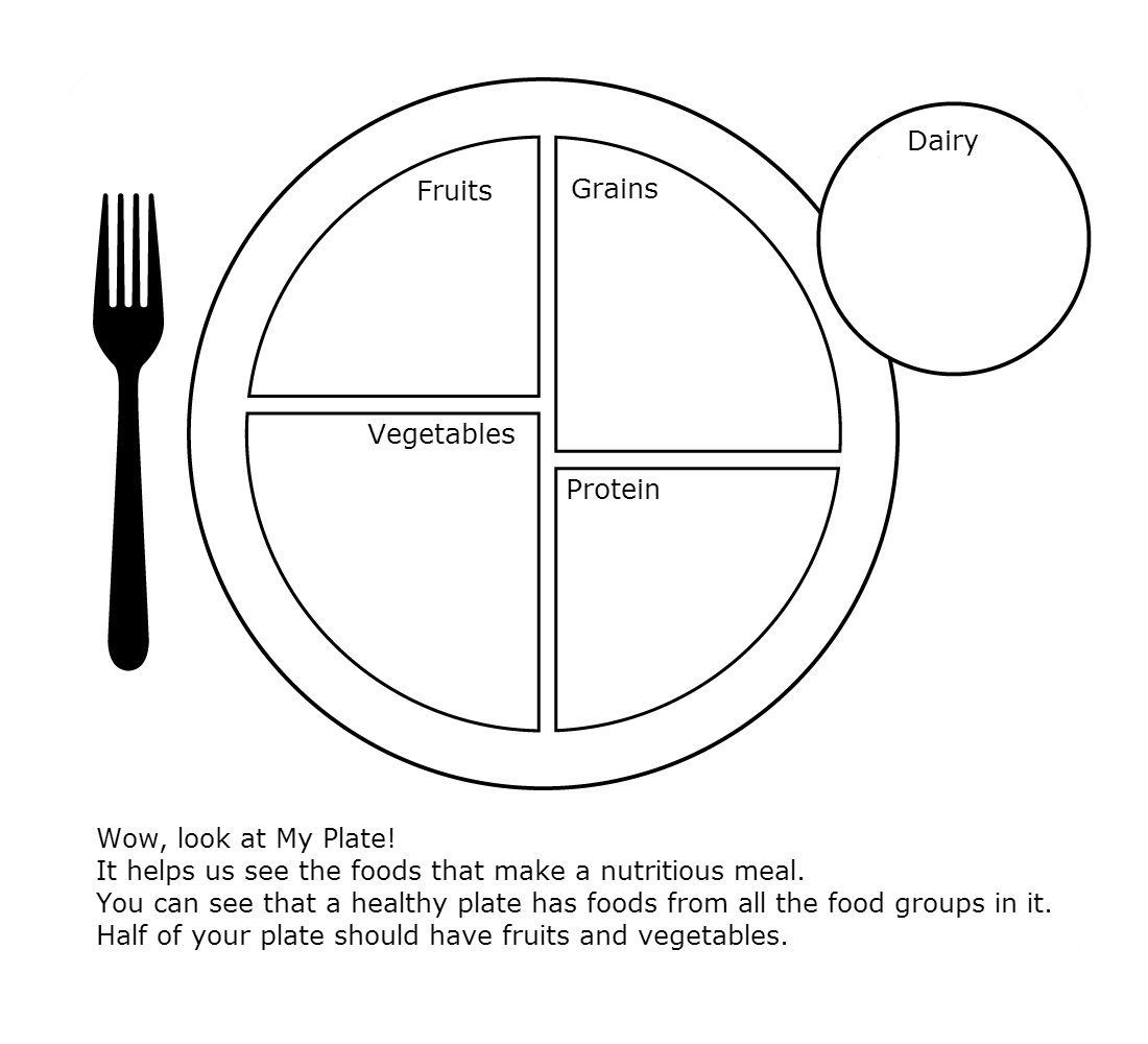 My Plate Worksheet For Health Group Meals Preschool 