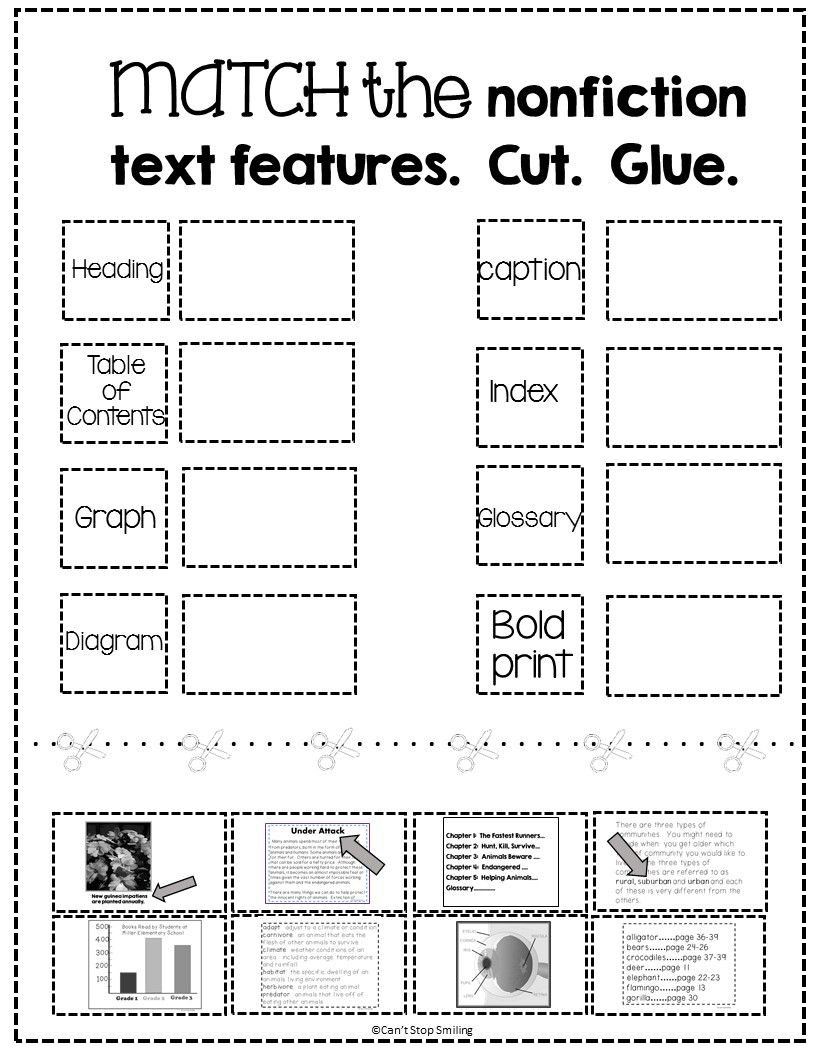 Nonfiction Text Features Matching Activity FREE Text 