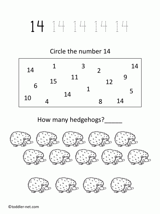 Number Fourteen Number 14 Worksheets Number 14 