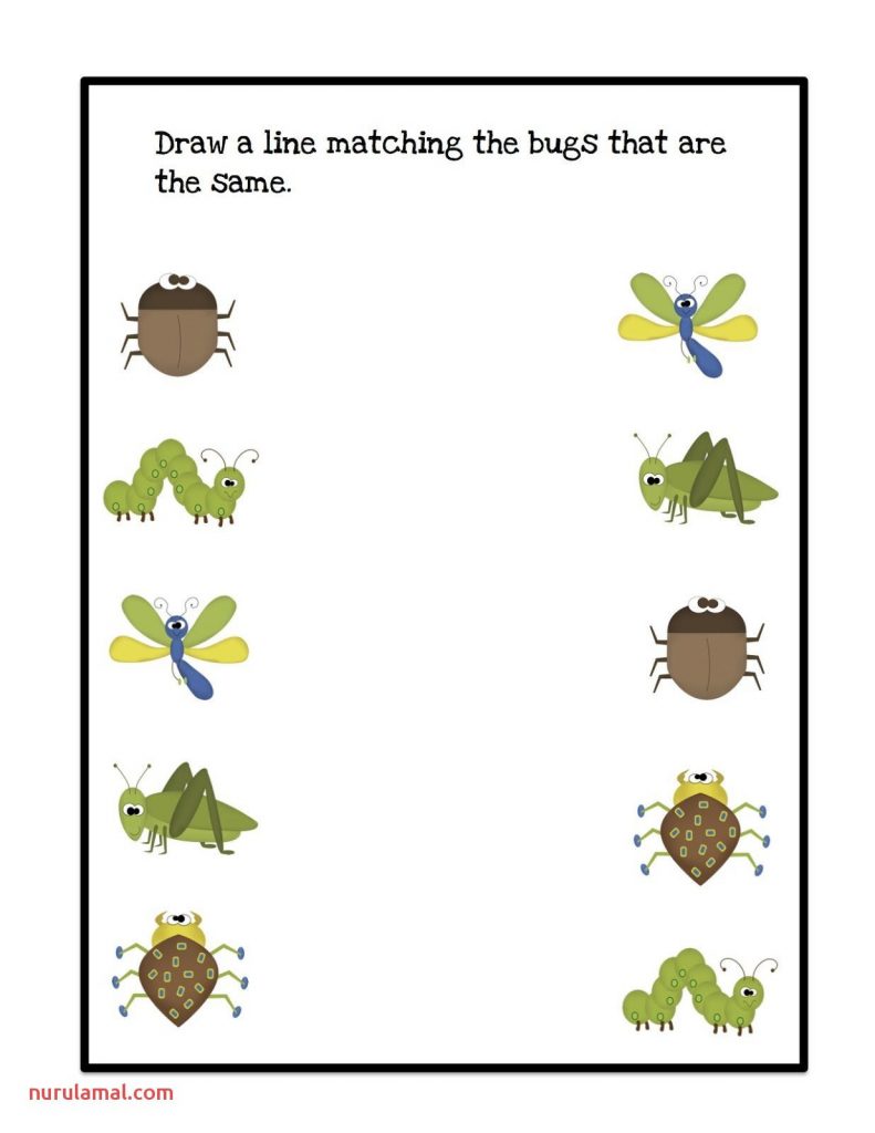 printable insect worksheets for preschool
