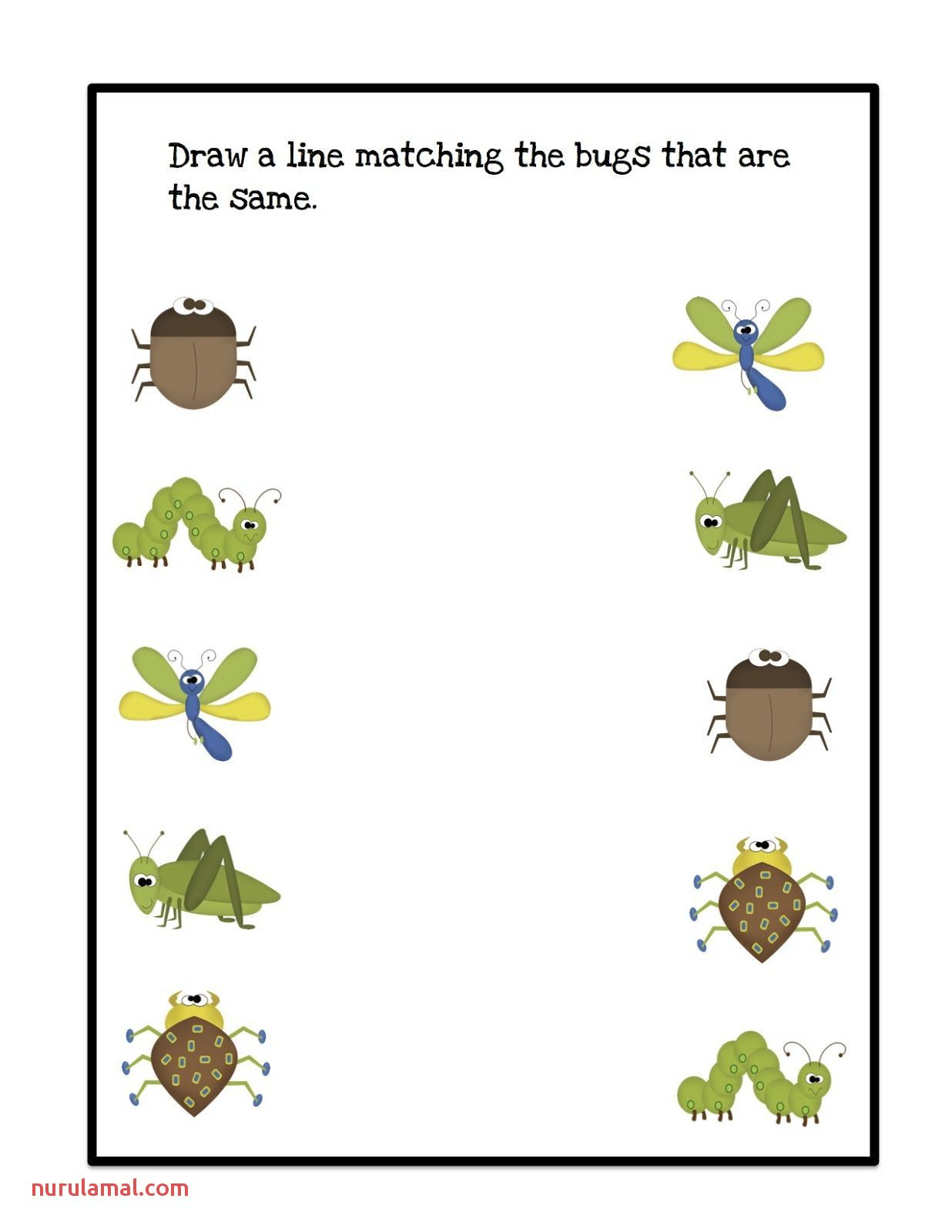 Preschool Bug And Insect Worksheets Bugs Preschool