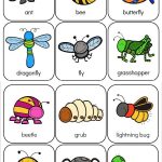 Preschool Bug Worksheets In 2020 Bugs Preschool