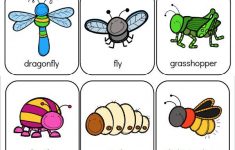 Preschool Bug Worksheets In 2020 Bugs Preschool