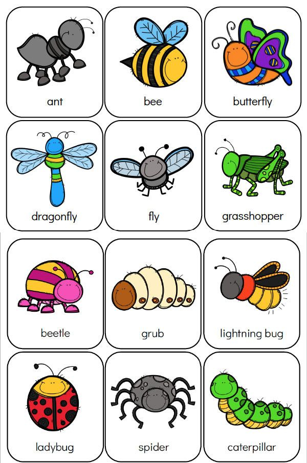 Preschool Bug Worksheets In 2020 Bugs Preschool