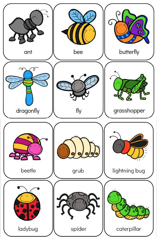 Preschool Bug Worksheets In 2020 Bugs Preschool 