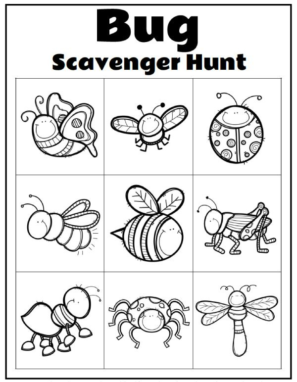 Printable Preschool Bug Activities For Kids Bugs 