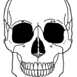 Printable Skeleton Coloring Pages For Kids