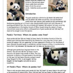 Reading 1 What Do You Know About Giant Pandas
