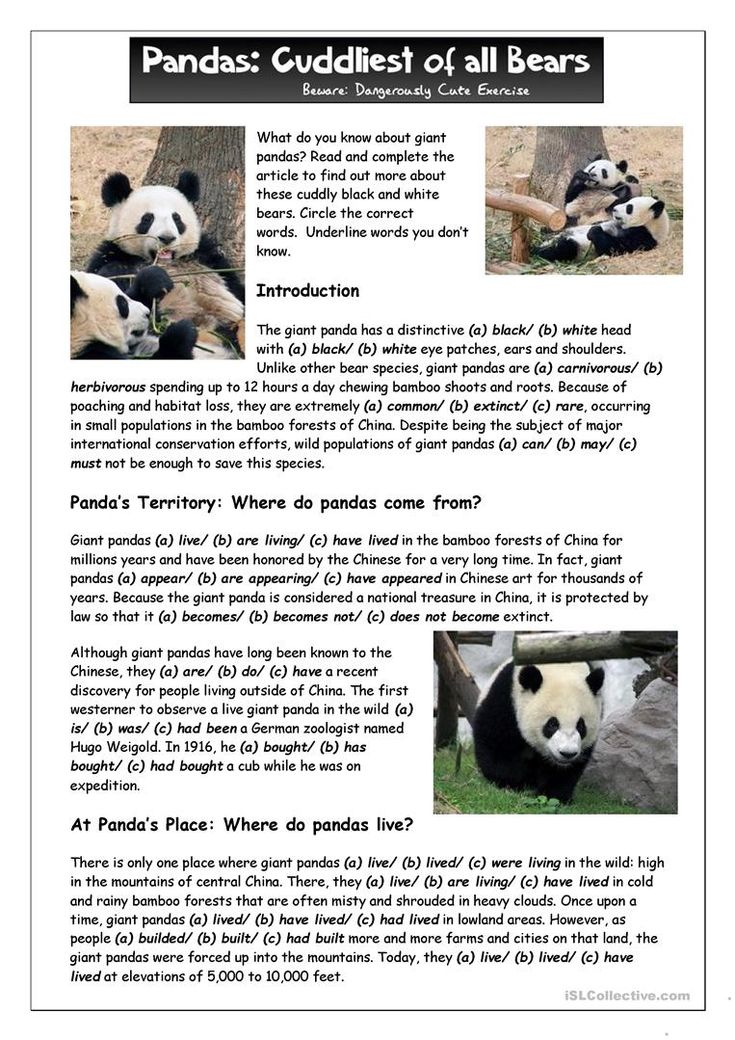 Reading 1 What Do You Know About Giant Pandas 
