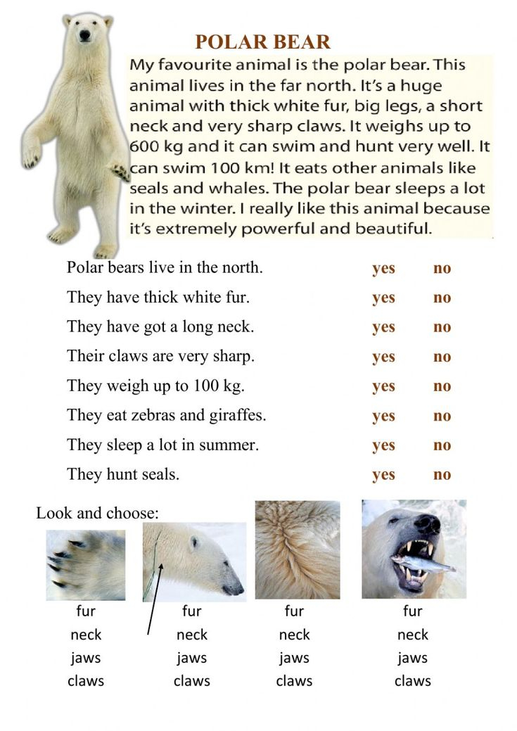 Reading Polar Bears Worksheet Polar Bear Family 